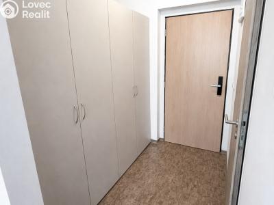 Pronájem bytu 1+KK Praha, Křížová č. 3