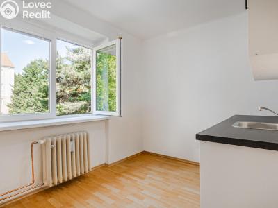 Prodej bytu 1+1 Kladno, Míru 2858 č. 2