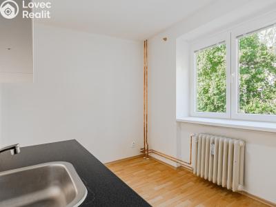 Prodej bytu 1+1 Kladno, Míru 2858 č. 3