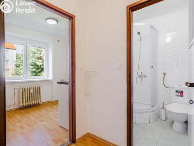 Prodej bytu 1+1 Kladno, Míru 2858 č. 10