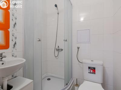 Prodej bytu 1+1 Kladno, Míru 2858 č. 12