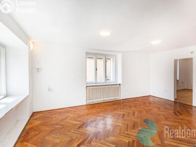 Продажа семейного дома Přezletice, Ve Dvorci 15 č. 13