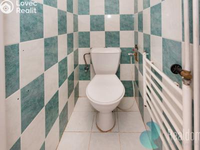 Продажа семейного дома Přezletice, Ve Dvorci 15 č. 29