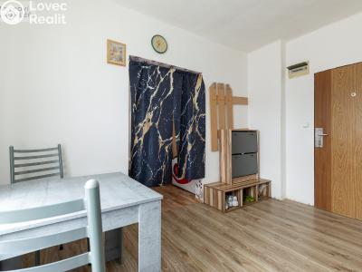 Продажа многоквартирного дома Frýdek-Místek, Fügnerova č. 9