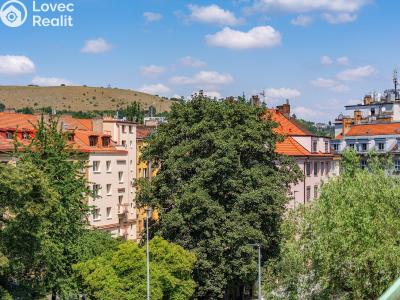 Sale apartment 1+KK Praha, Ke Krči č. 5