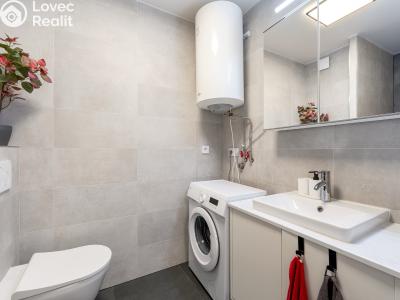 Sale apartment 1+KK Praha, Ke Krči č. 15