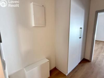Аренда квартиры 1+KK Třebíč, Modřínová 493 č. 6
