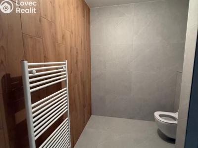 Аренда квартиры 1+KK Třebíč, Modřínová 493 č. 8