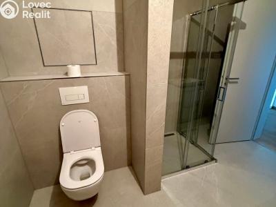 Аренда квартиры 1+KK Třebíč, Modřínová 493 č. 9