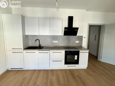 Аренда квартиры 1+KK Třebíč, Modřínová 493 č. 11