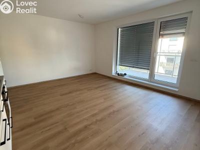 Аренда квартиры 1+KK Třebíč, Modřínová 493 č. 12