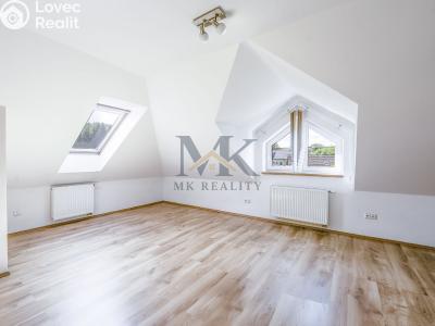 Rent family house Zbytiny č. 9