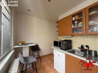 Rent apartment 2+1 Praha, Hostýnská č. 6