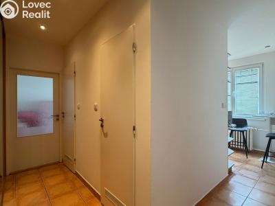 Rent apartment 2+1 Praha, Hostýnská č. 7