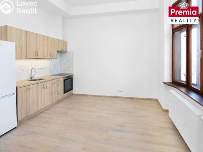 Rent apartment 2+KK Znojmo, Dr. Milady Horákové č. 1