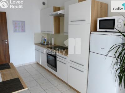 Pronájem bytu 1+1 Karlovy Vary, Spálená č. 4