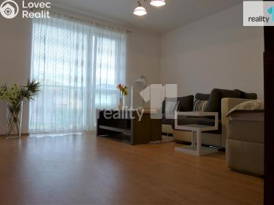 Pronájem bytu 1+1 Karlovy Vary, Spálená č. 5