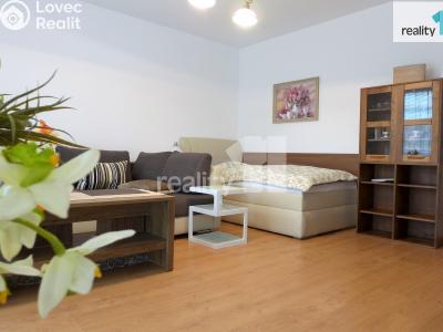 Pronájem bytu 1+1 Karlovy Vary, Spálená č. 6