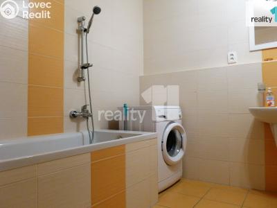 Pronájem bytu 1+1 Karlovy Vary, Spálená č. 7