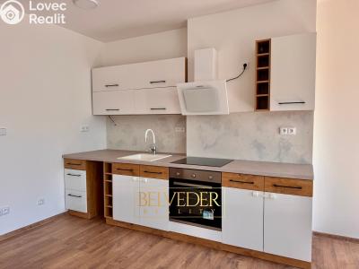 Pronájem bytu 2+KK Teplice, Albrechtova č. 7