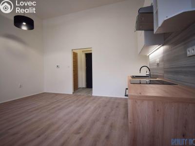 Pronájem bytu 2+KK Teplice, Českobratrská č. 3