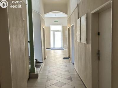 Оренда офісного приміщення Mariánské Lázně, Lidická č. 5
