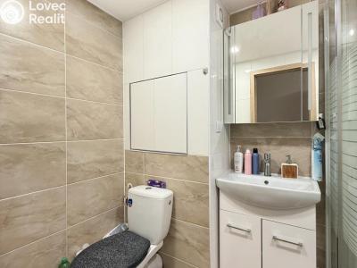 Pronájem bytu 2+KK Bílina, Aléská 255 č. 10