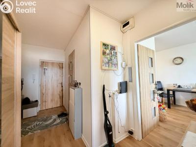 Pronájem bytu 2+KK Bílina, Aléská 255 č. 12