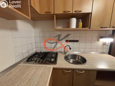 Rent apartment 1+1 Rožnov pod Radhoštěm, Kulturní č. 3