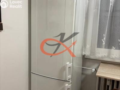 Rent apartment 1+1 Rožnov pod Radhoštěm, Kulturní č. 7