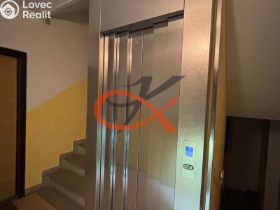 Rent apartment 1+1 Rožnov pod Radhoštěm, Kulturní č. 10