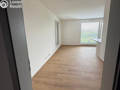 Rent apartment 2+KK Třebíč, Modřínová č. 11