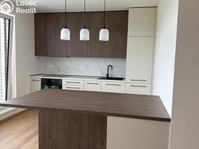 Rent apartment 2+KK Třebíč, Modřínová č. 12