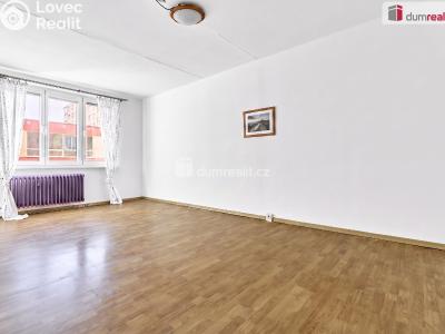 Продаж квартири 1+1 Sokolov, Závodu míru č. 2