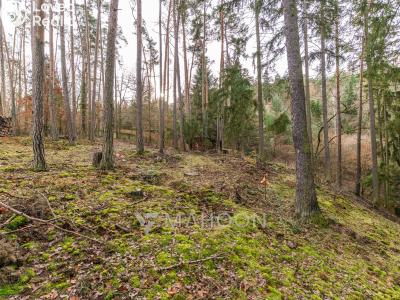 Prodej rodinného domu Štěchovice č. 19