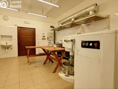 Prodej ubytovacího zařízení Strážné č. 5
