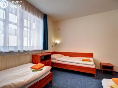 Prodej ubytovacího zařízení Strážné č. 9