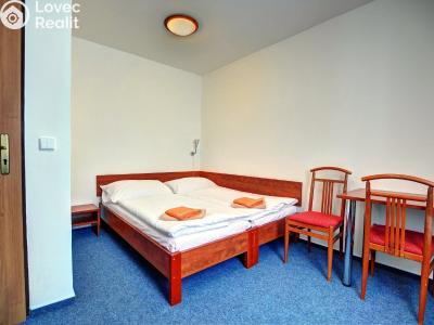 Prodej ubytovacího zařízení Strážné č. 15