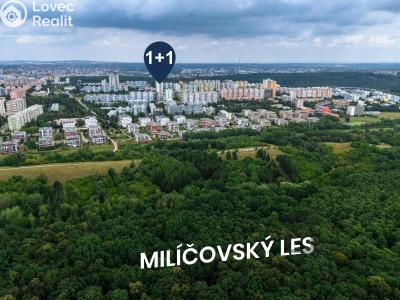 Prodej bytu 1+1 Praha, Bajkonurská č. 25