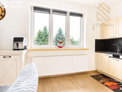 Продаж квартири 3+1 Doksy, Lidická 610 č. 10