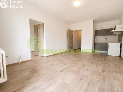 Rent apartment 1+1 Valašské Meziříčí, Sokolská 1094 č. 1