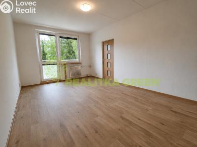 Rent apartment 1+1 Valašské Meziříčí, Sokolská 1094 č. 2