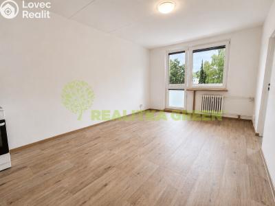 Rent apartment 1+1 Valašské Meziříčí, Sokolská 1094 č. 3
