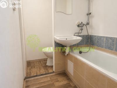Rent apartment 1+1 Valašské Meziříčí, Sokolská 1094 č. 7