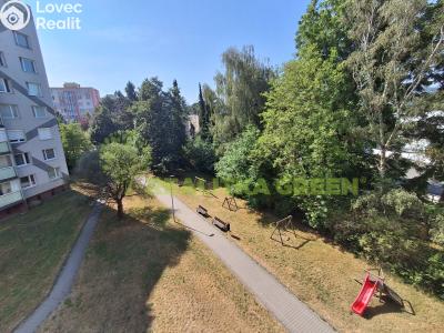 Rent apartment 1+1 Valašské Meziříčí, Sokolská 1094 č. 9