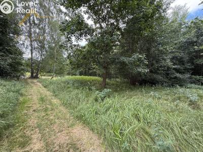 Prodej rodinného domu Bujanov č. 32
