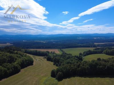 Prodej rodinného domu Bujanov č. 39