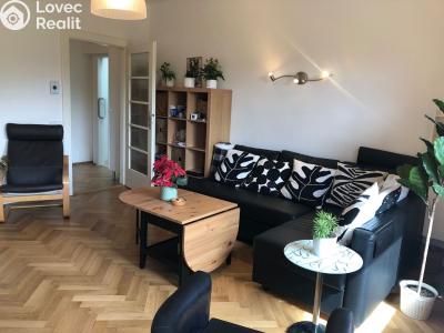 Pronájem atypického bytu Brno, Elišky Machové č. 3