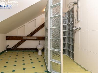 Sale apartment 3+1 Český Těšín, Masarykovy sady č. 7