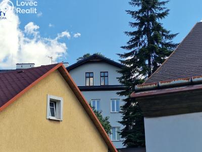 Sale apartment 3+1 Český Těšín, Masarykovy sady č. 9